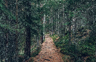 美国哪些大学接受高考成绩?