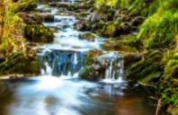 留学美国克萨斯州相关介绍