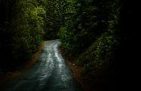 留学麻省理工学院商学院申请难度介绍