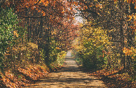 留学美国私立高中优势介绍