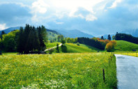 美国本科留学奖学金如何申请?