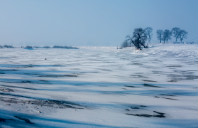 新西兰研究生农业专业介绍