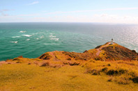 新西兰梅西大学创意艺术学院：可线上授课