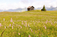 美国留学指南：康涅狄格州高中