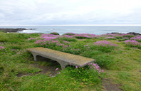 美国留学：一年制硕士