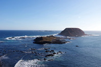 加拿大留学指南：CO-OP带薪实习