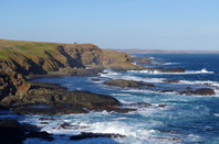 留学指南：运动康复类专业怎么转