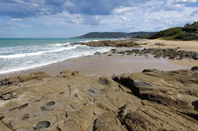 新西兰留学指南：葡萄酒相关专业