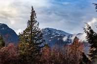 美国留学指南:美国留学本硕连读