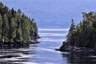 美国留学:体育专业