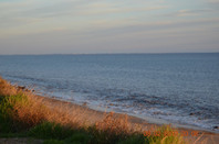 美国留学：西海岸的那些大学们