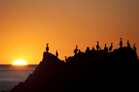 美国留学指南：休学那些事