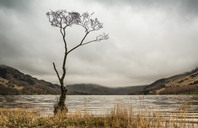 英国留学指南：打工人必须知道的法律问题