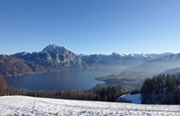 美国留学：维克森林大学