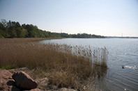 美国留学：传播学