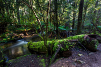 澳洲留学指南：专业选择