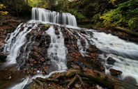 新加坡留学指南：公立学校如何申请