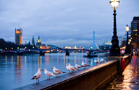 英国留学：巴斯大学