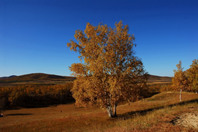 加拿大留学：麦克马斯特大学