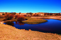 加拿大留学：西蒙弗雷泽大学