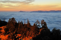 加拿大留学：康考迪亚大学