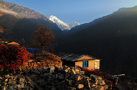 加拿大留学：魁北克大学