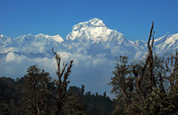 新加坡留学：新加坡国立大学