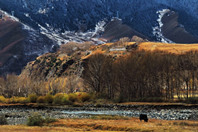 新加坡留学：新加坡理工学院