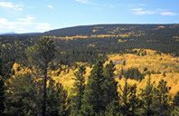 新西兰留学：怀卡托理工学院