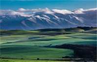 华威大学研究生哪些专业比较好?