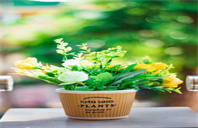 瑞尔森大学建筑科学本科专业