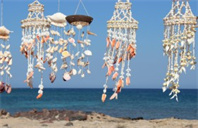 瑞尔森大学摄影研究本科专业