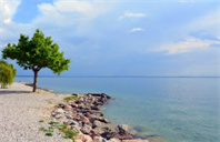 加拿大谢尔丹学院护理本科专业