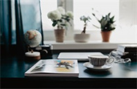 达尔豪斯大学本科专业