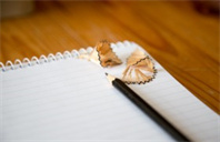 利物浦大学物流与供应链管理硕士专业