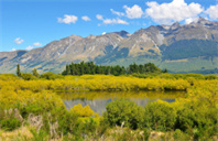 加拿大温哥华电影学院的编剧专业