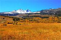 美国西北大学创新管理专业