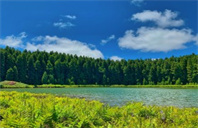 加拿大康尼斯多加学院专业课程可以选哪些?