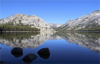 密苏里科技大学化学专业