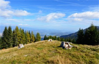 金斯顿大学影视配乐硕士专业