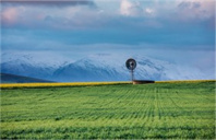 美国佩珀代因大学应用金融硕士专业