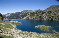 杜兰大学化学专业开设哪些学位?