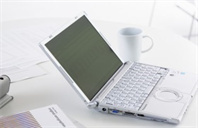 雪城大学法律专业