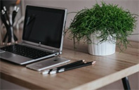 雪城大学生物工程专业