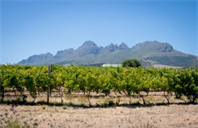 美国布兰迪斯大学数据分析硕士专业