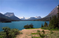 康涅狄格大学生物信息学专业