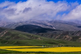 加拿大留学高中注意事项