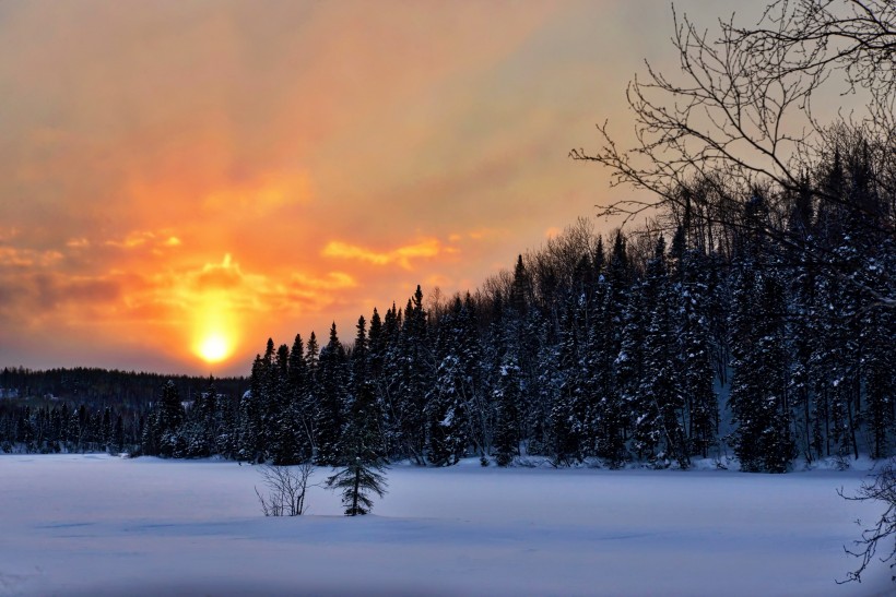 魁北克省学院College介绍推荐