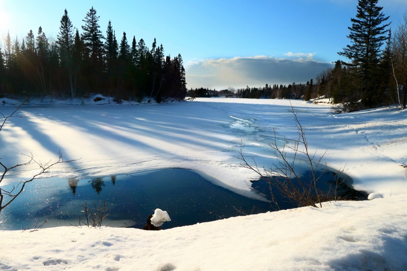 多伦多市中心的优质公立高中Bloor Collegiate Institute
