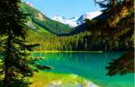 加拿大留学本科申请方法